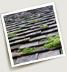 Roofing contractor in Maryland